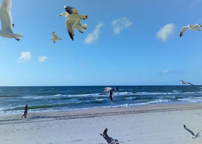 Luna1 Сasa de vacaciones